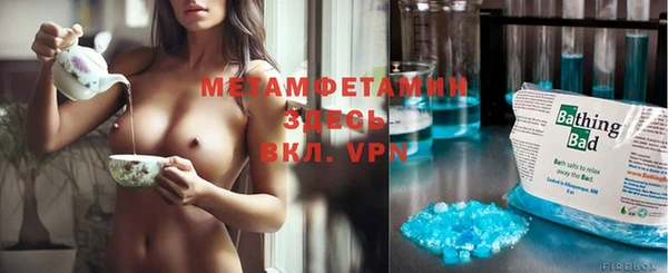 крисы Медвежьегорск