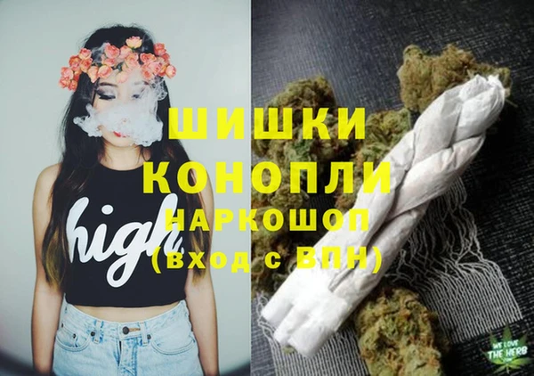 крисы Медвежьегорск