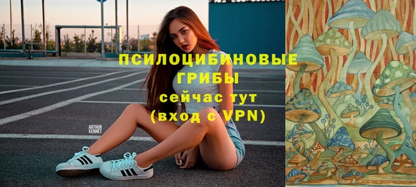 ешки Мегион