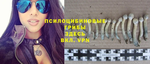 ешки Мегион