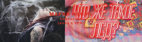 индика Мурманск