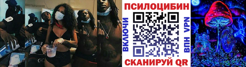 Галлюциногенные грибы Psilocybe  Николаевск-на-Амуре 